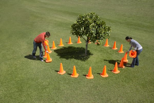 Learning To Guard Your Attention